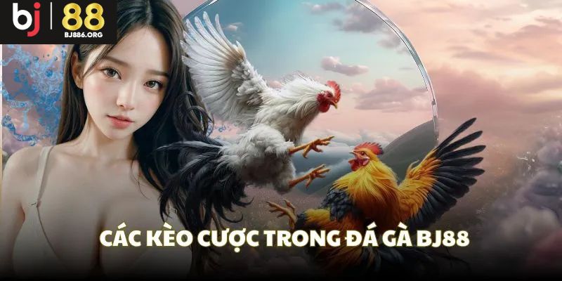 Các cửa cược thường thấy trong đá gà BJ88