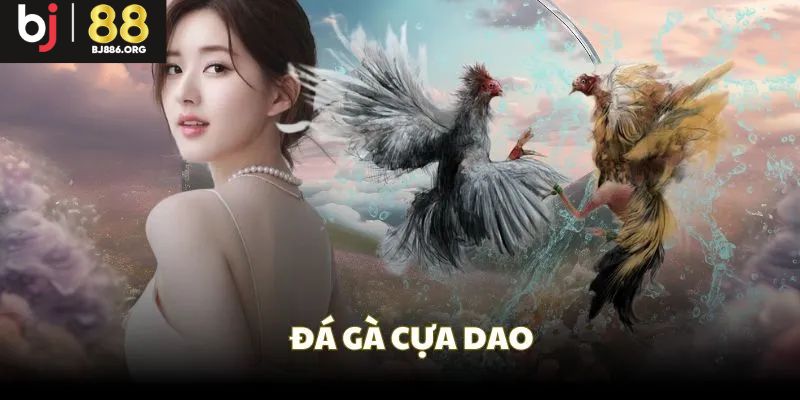 Chọi kê cựa dao hấp dẫn, kịch tính được nhiều người ưa chuộng