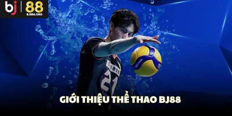 Tìm hiểu đôi nét về sảnh thể thao đặc biệt