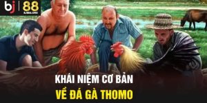 Đôi nét về hình thức giải trí cuốn hút
